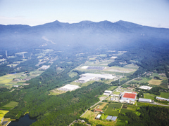 Sanden Forest