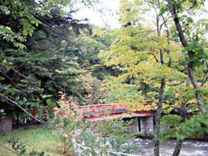中野紅葉山