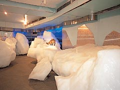 オホーツク流氷館