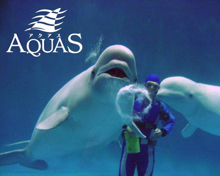 しまね海洋館アクアス