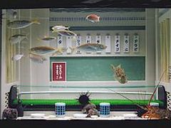 よしもとおもしろ水族館