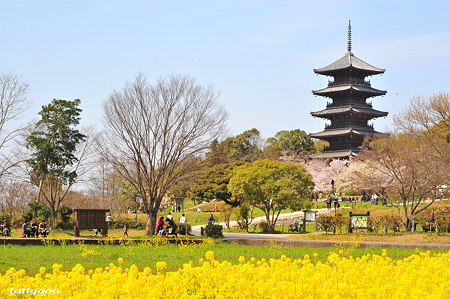 備中国分寺