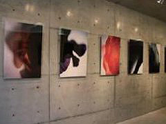 ジャックと豆の木