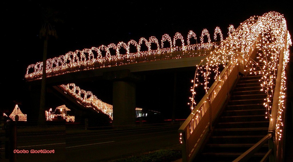 一ッ葉イルミネーション