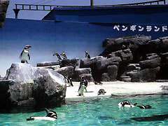 上越市立水族博物館