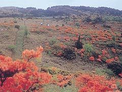 青山高原