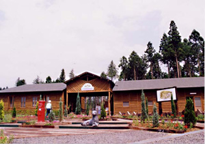 日光わんわんの森