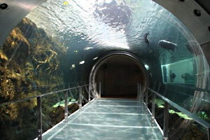 なかがわ水遊園