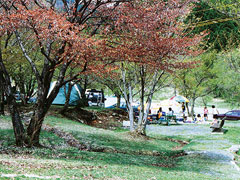 ちくさ高原ネイチャーランド