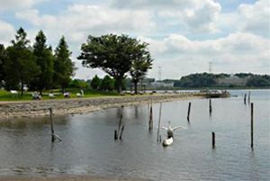 手賀沼公園