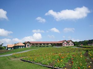 東京ドイツ村