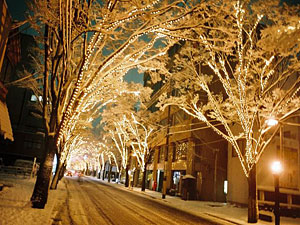 NIIGATA光のページェント