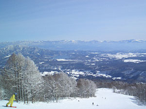 妙高杉ノ原スキー場